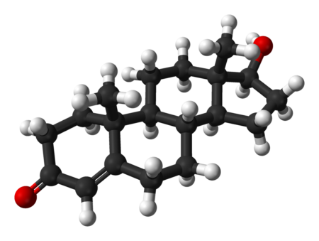 testosterone production